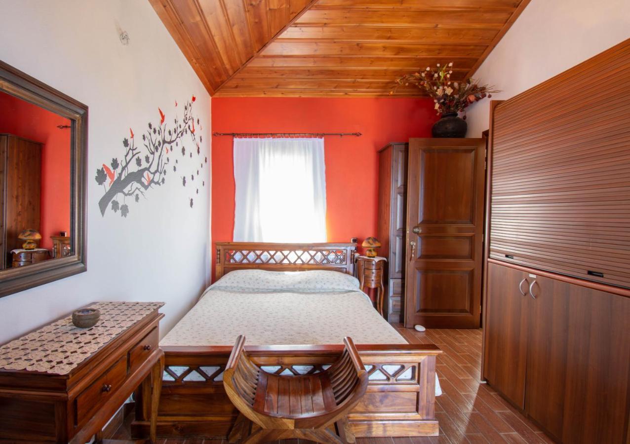 Traditional Guesthouse 4 Epoches Zagora Extérieur photo